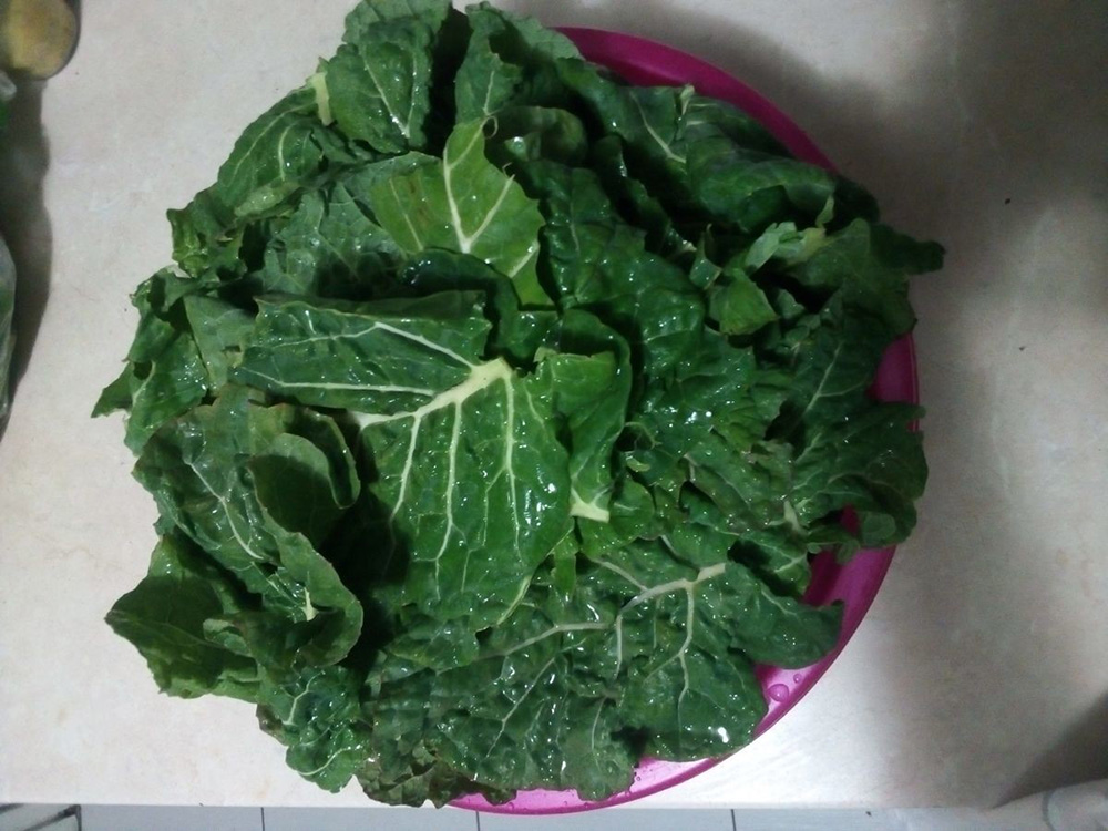 Raštika kao izvor zdravlja