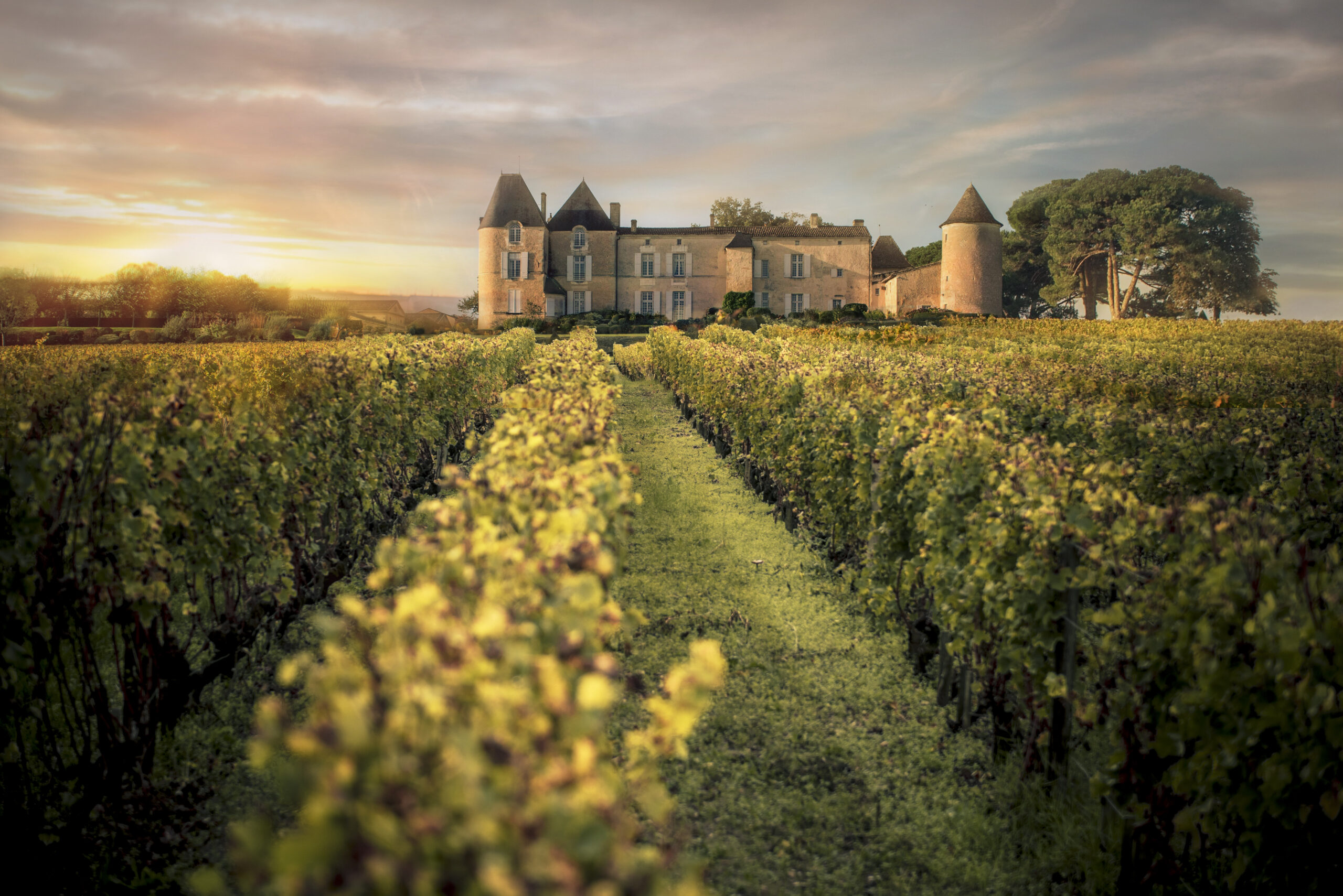 Château d’Yquem